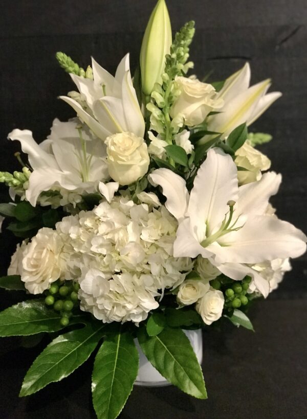 ALL WHITE AND GREEN SYMPATHY